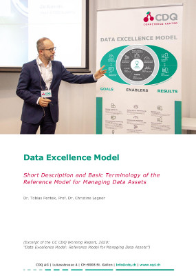 Framework: Data Excellence Model: Short Description and Basic Terminology