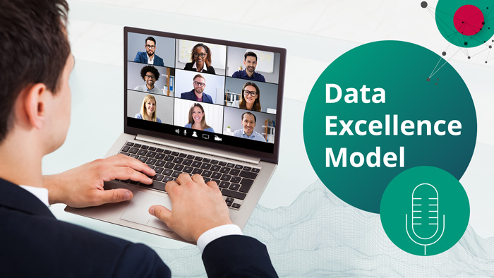 Webinar: the Data Excellence Model
