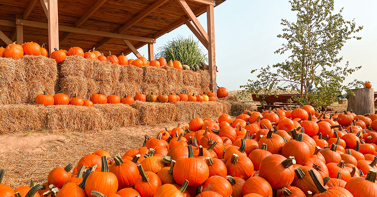 IMG-Blog-Does-Your-Data-Trick-Or-Treat-You