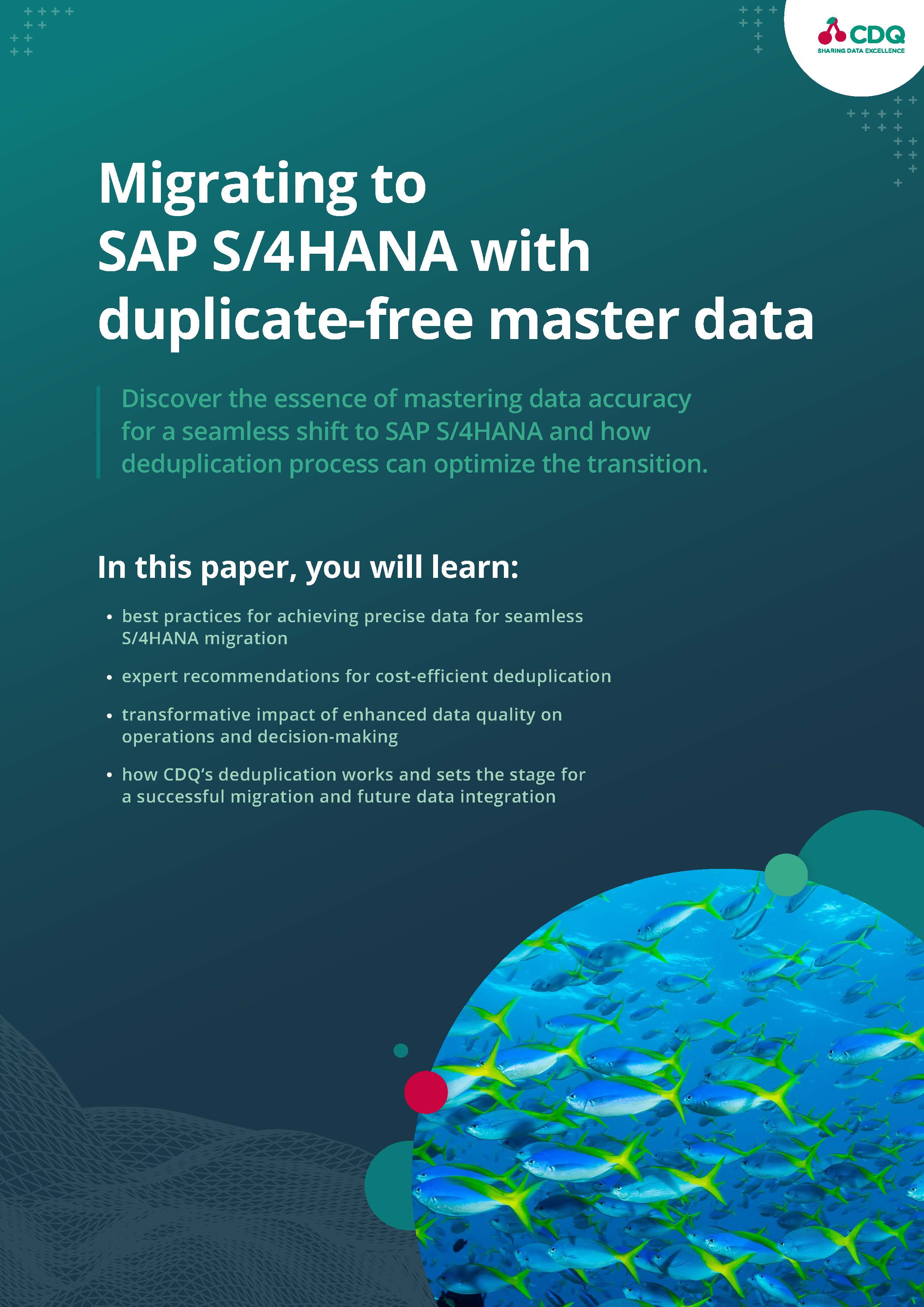 CDQ Whitepaper Deduplication before S4HANA Migration