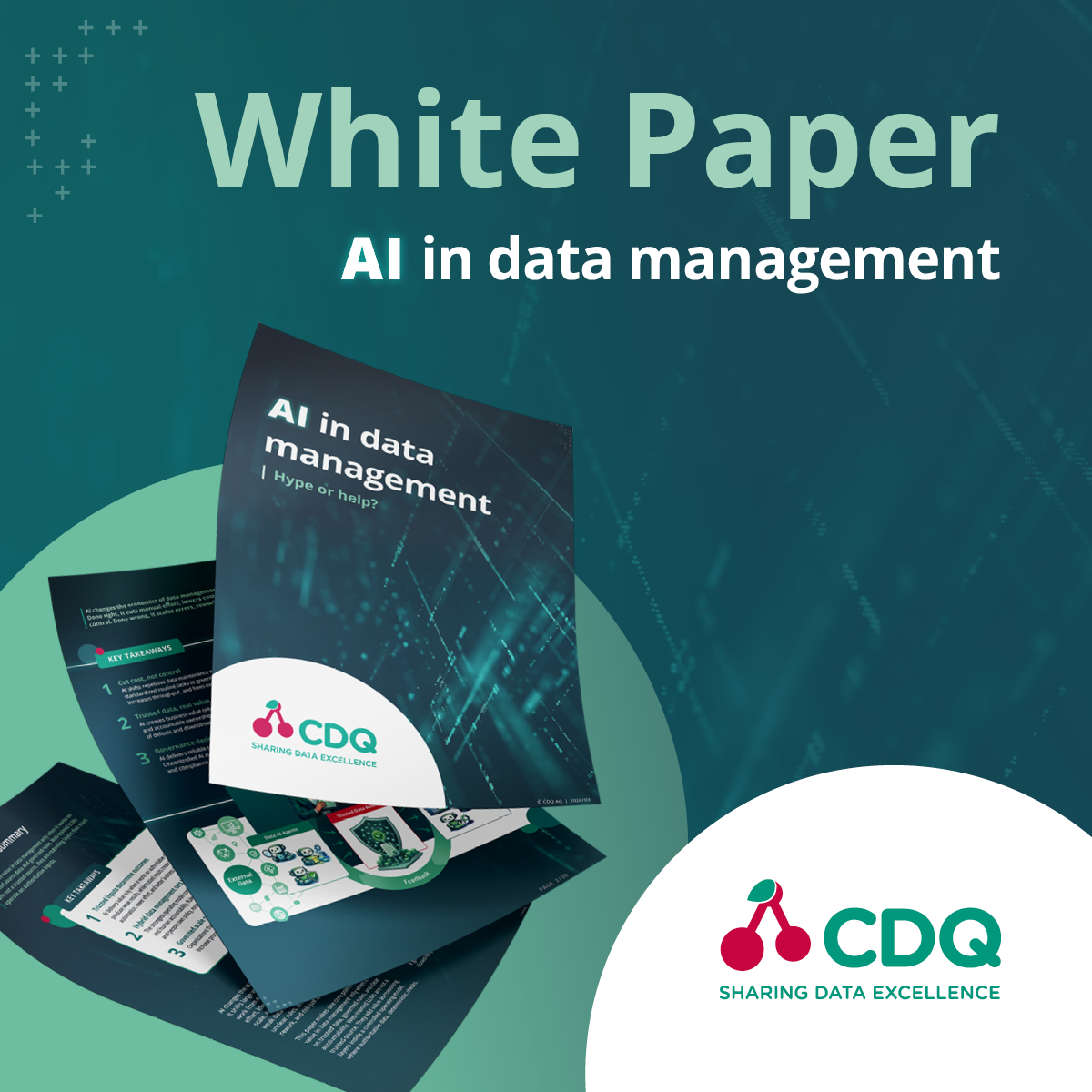 AI Hype or Help whitepaper