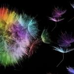 MDM_and_AI_for_business_success